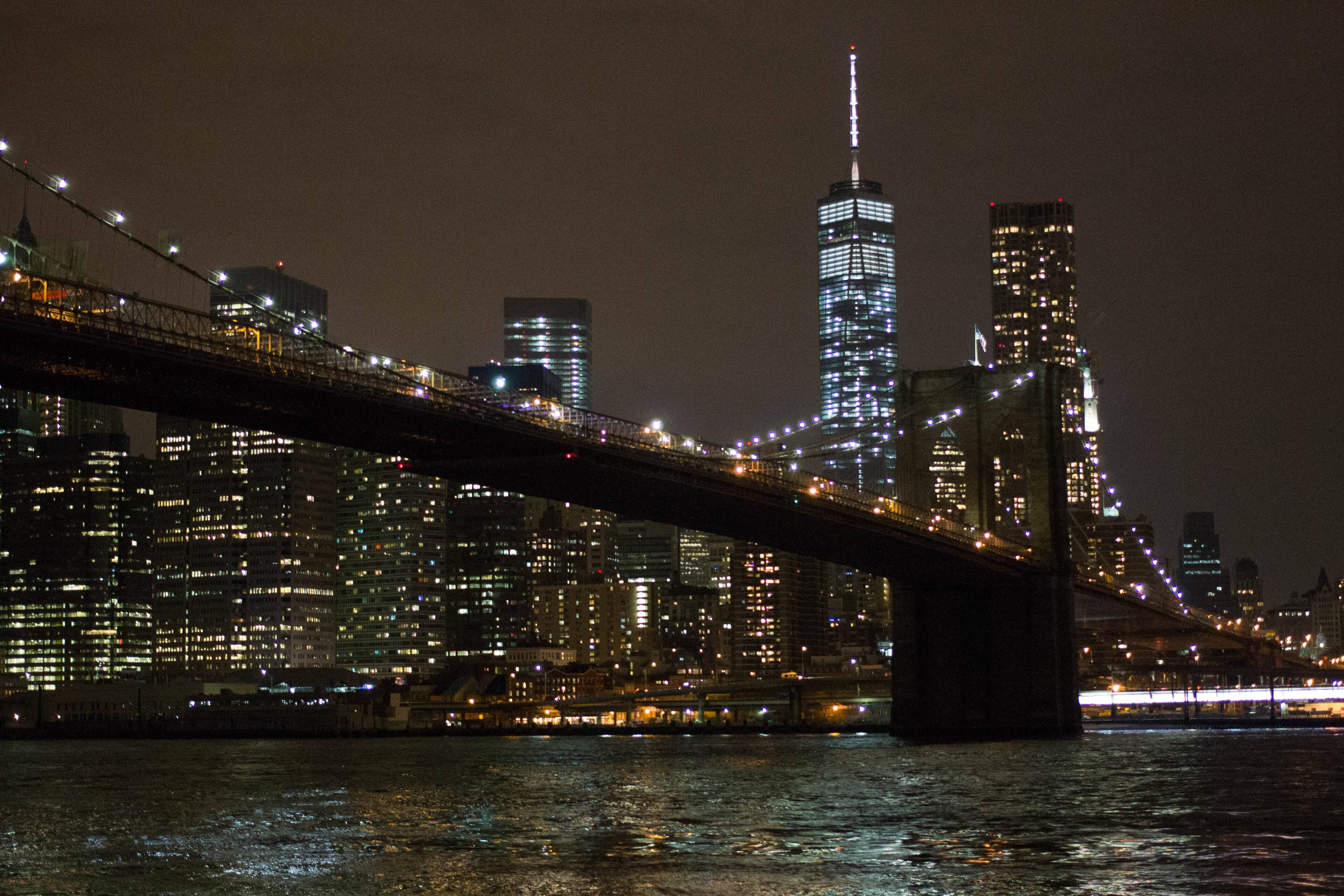 Lower Manhattan skyline lit up at night across the river